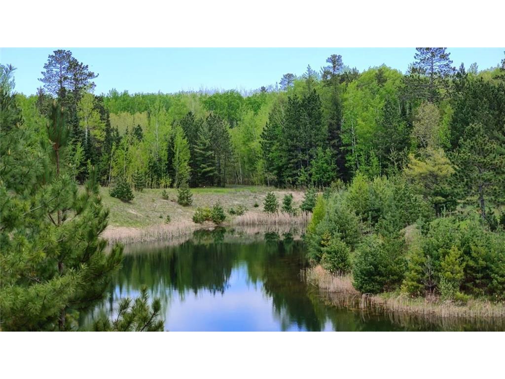 80064 Osprey Pass Greenwood Twp MN 55790 - Vermilion 7048523 image5