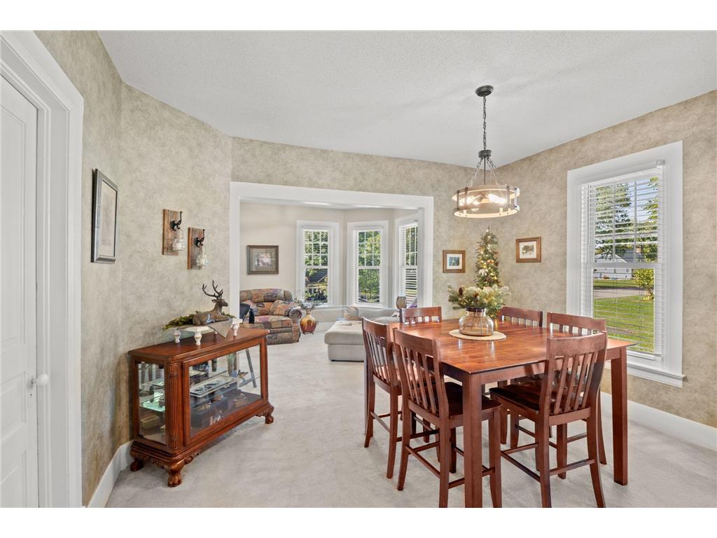 801 Carver Street N Winthrop MN 55396 6793709 image8