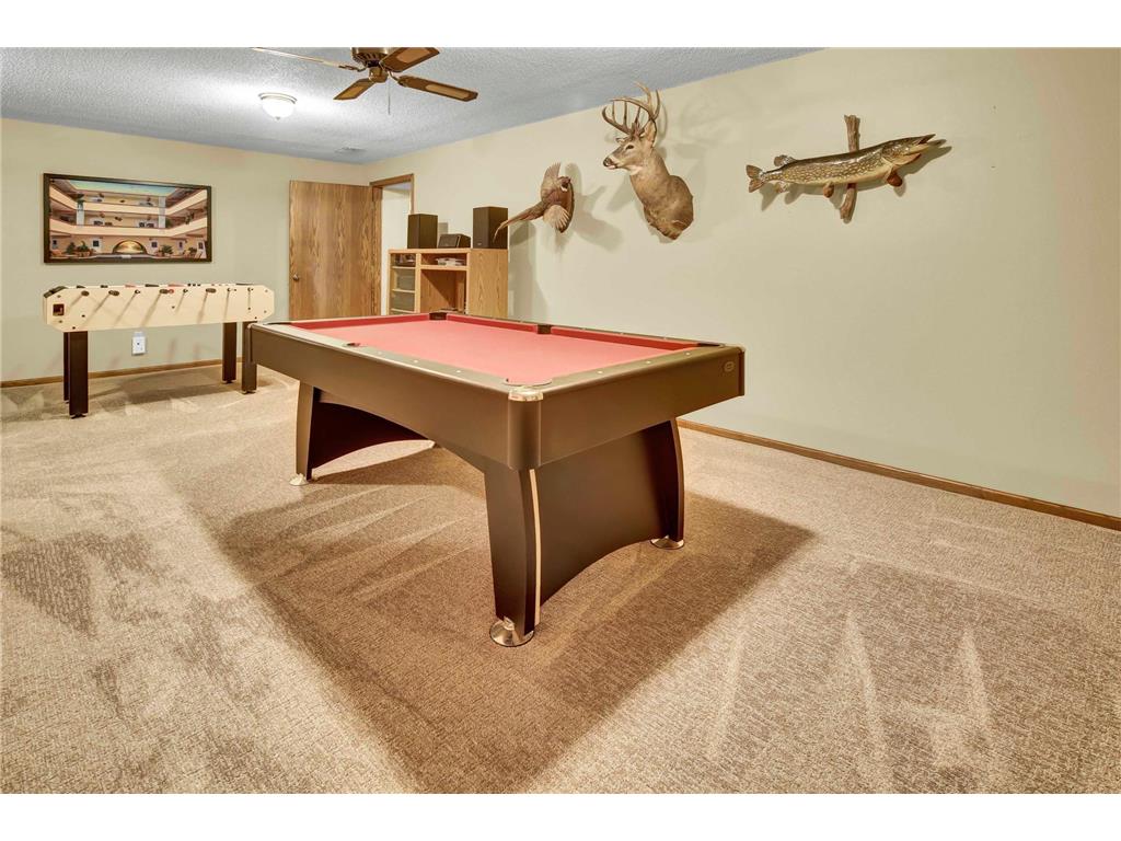 8010 Center Street Clear Lake MN 55319 7045446 image31