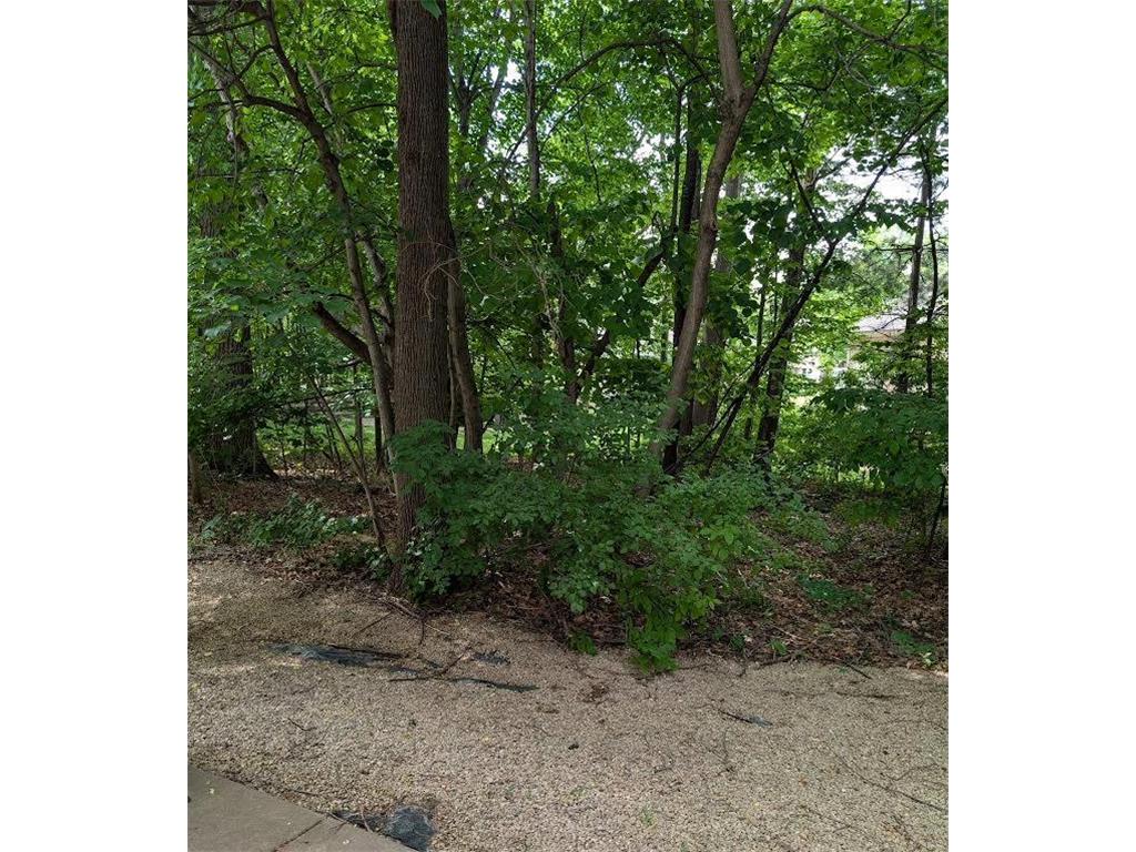 8011 Everest Lane N Maple Grove MN 55311 7085668 image3