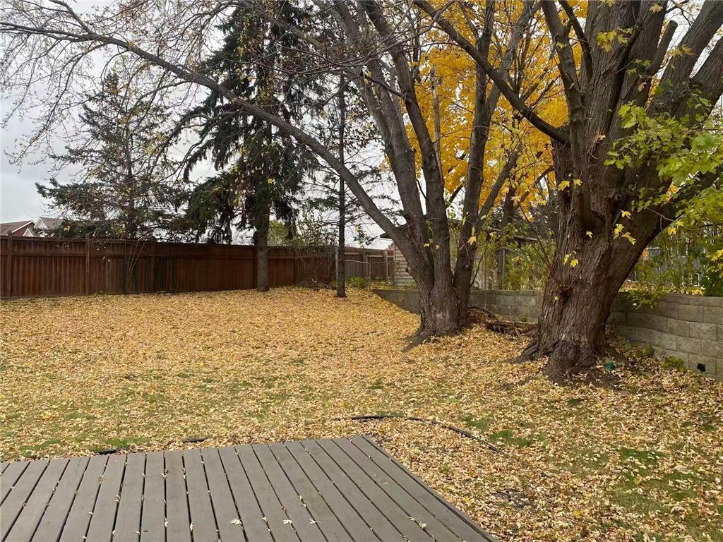 8011 Jergen Avenue S Cottage Grove MN 55016 6815315 image5