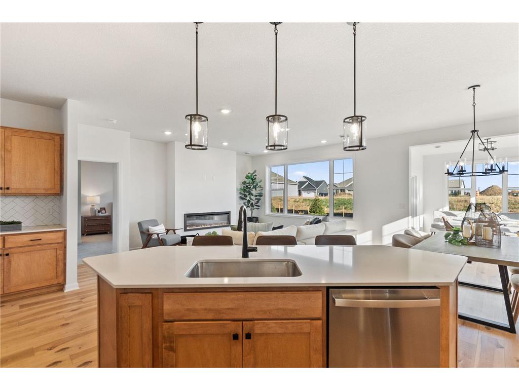 8012 Xyloid Lane Corcoran MN 55340 7018209 image6