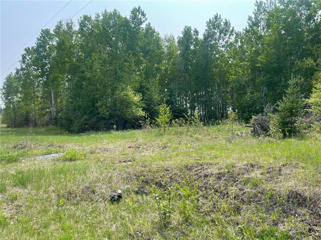 8017 N Savanna Road Cedar Valley Twp MN 55736 6823662 image2