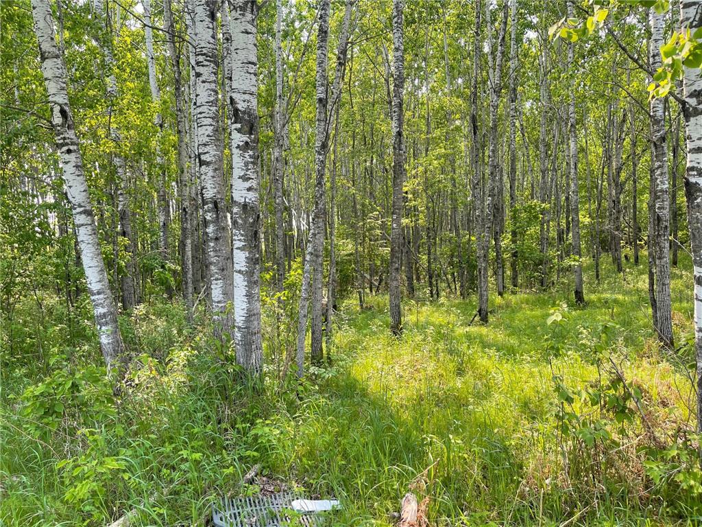 8017 N Savanna Road Cedar Valley Twp MN 55736 6823662 image4