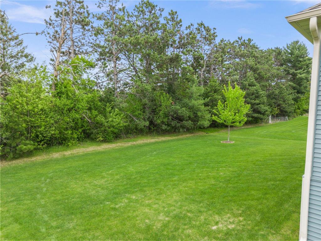 8034 Glenwood Drive Lino Lakes MN 55014 7075976 image36