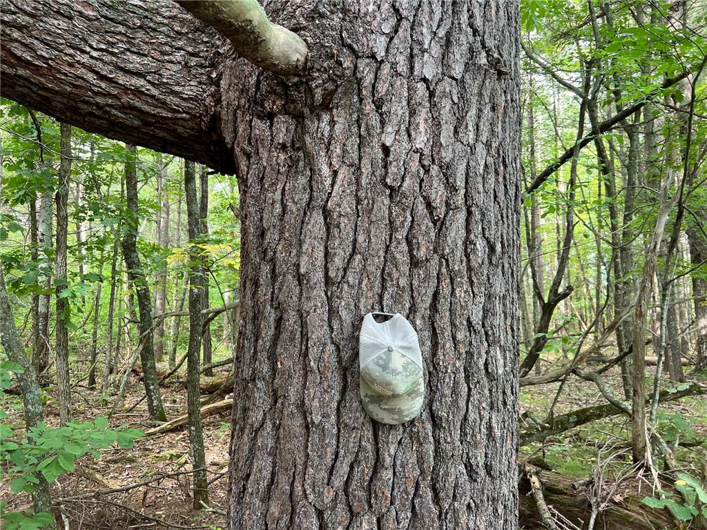 8046 Moline Road Webster WI 54893 - Clam River 7002734 image32