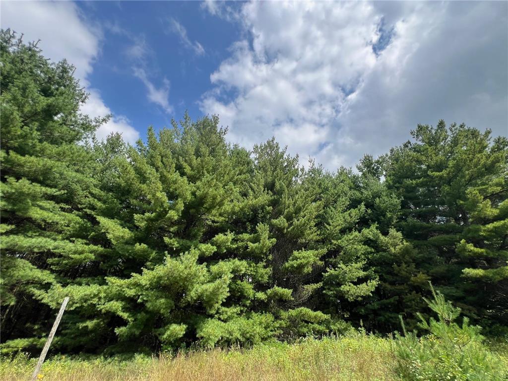 8046 Moline Road Webster WI 54893 - Clam River 7002734 image33