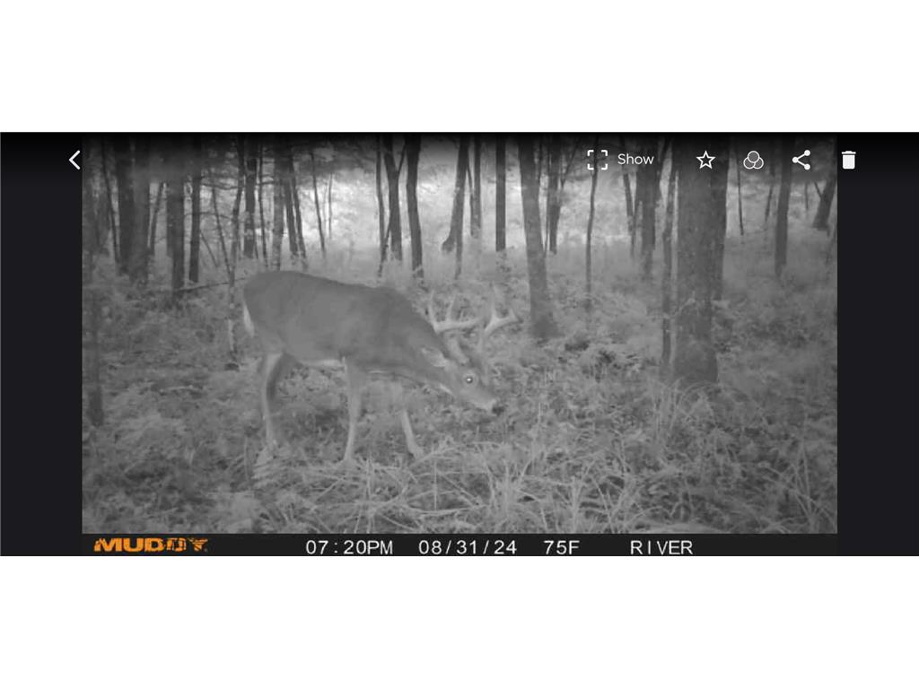 8046 Moline Road Webster WI 54893 - Clam River 7002734 image54