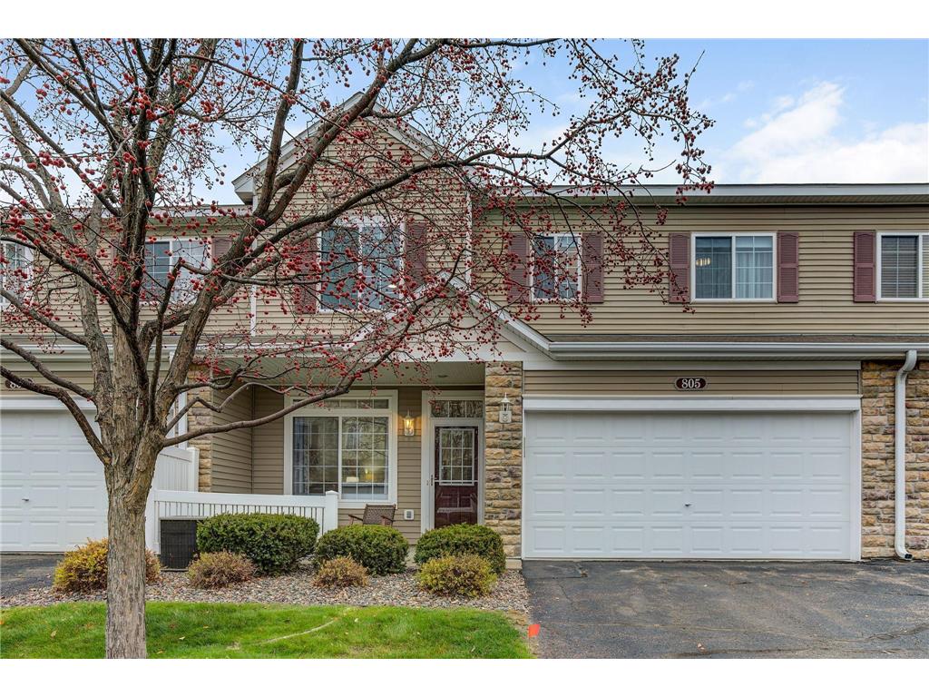 805 10th Street S 307, Buffalo, MN, 55313 MLS 6305638 Edina Realty