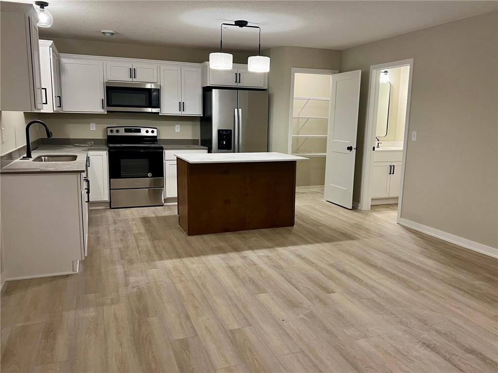 805 Tomahawk Court Madison Lake MN 56063 6763046 image7