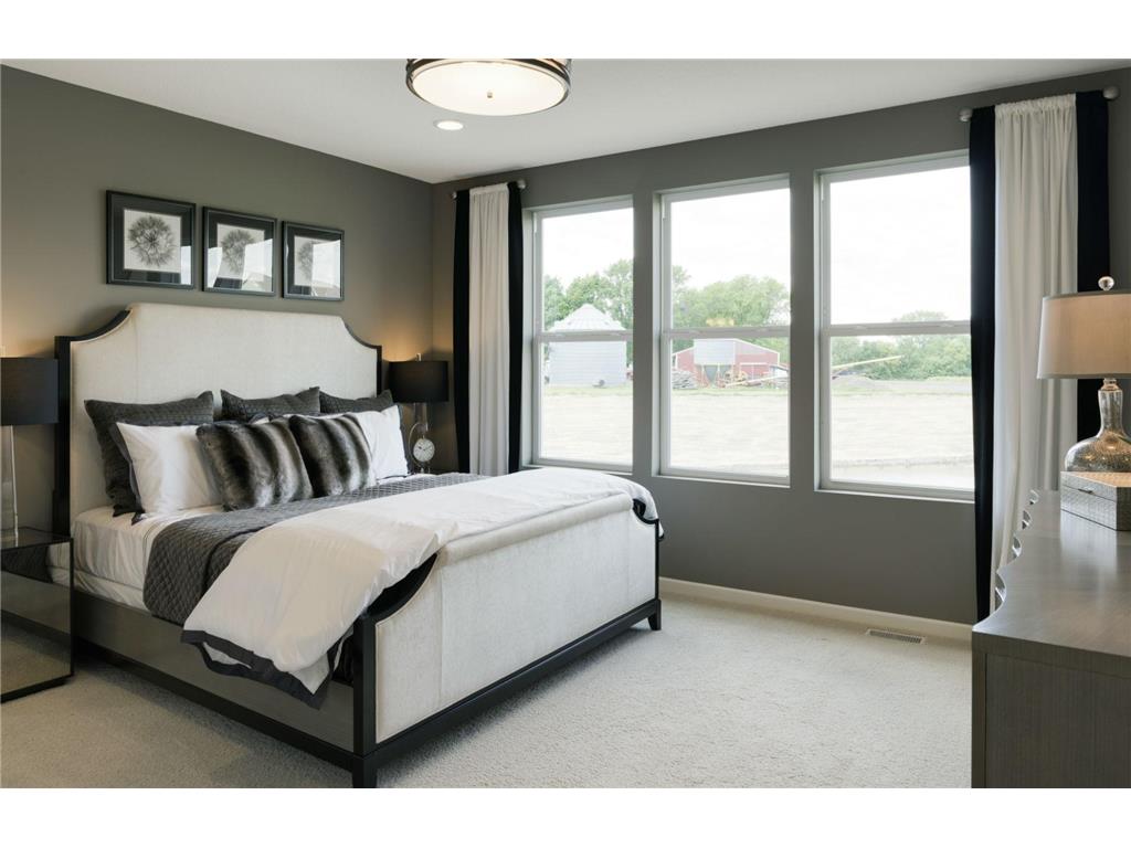 10027 Mulberry Lane Corcoran MN 55374 7049812 image11