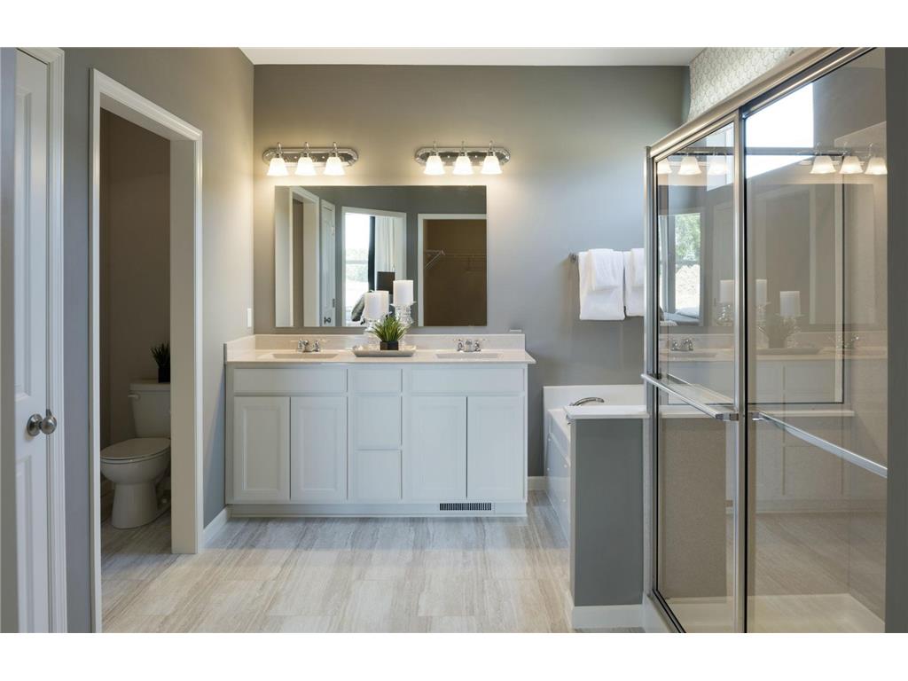 10027 Mulberry Lane Corcoran MN 55374 7049812 image12