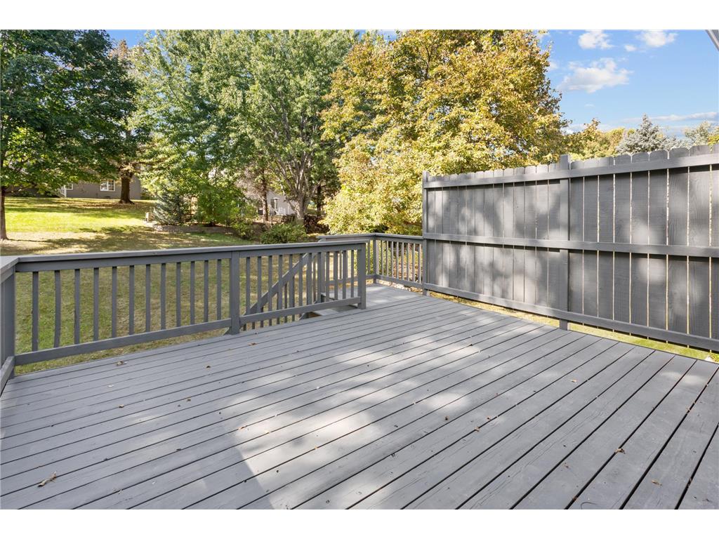 8064 Narcissus Street Victoria MN 55386 6796493 image29