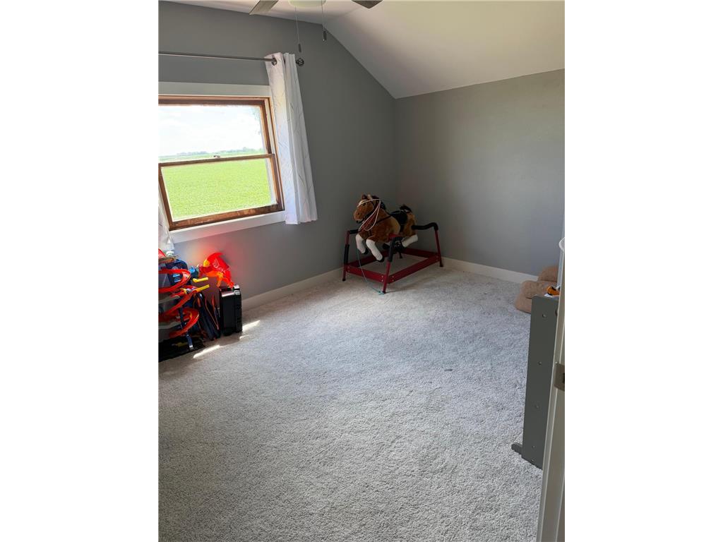 80658 400th Street Antrim Twp MN 56060 7104876 image29