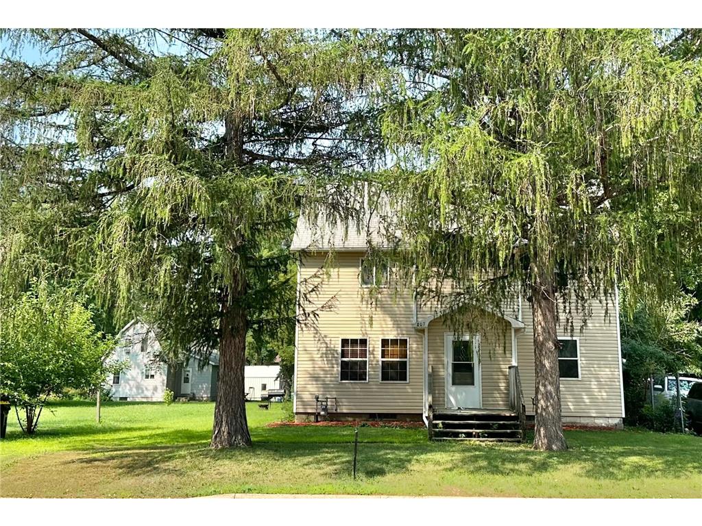 807 10th Street N Mountain Lake MN 56159 6335813 image1