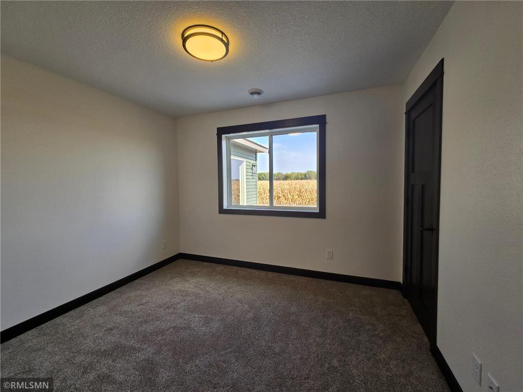 807 Pond View Drive Arlington MN 55307 6818202 image15