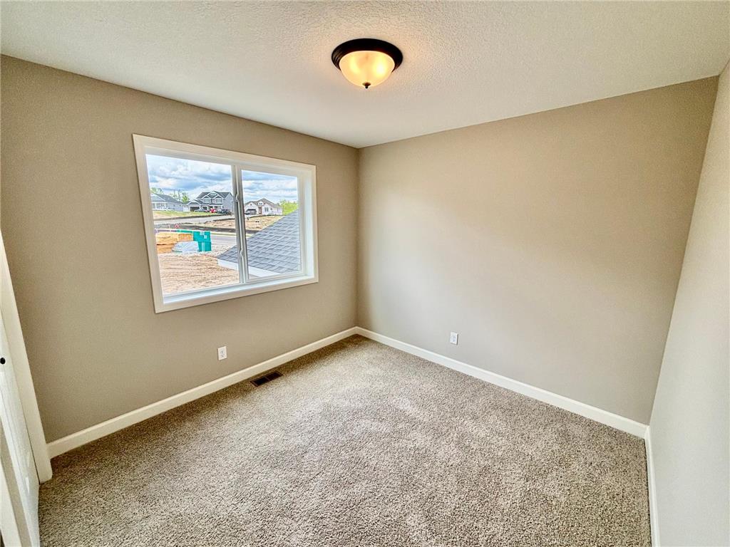 807 Walnut Grove Lane Hanover MN 55341 7061951 image12