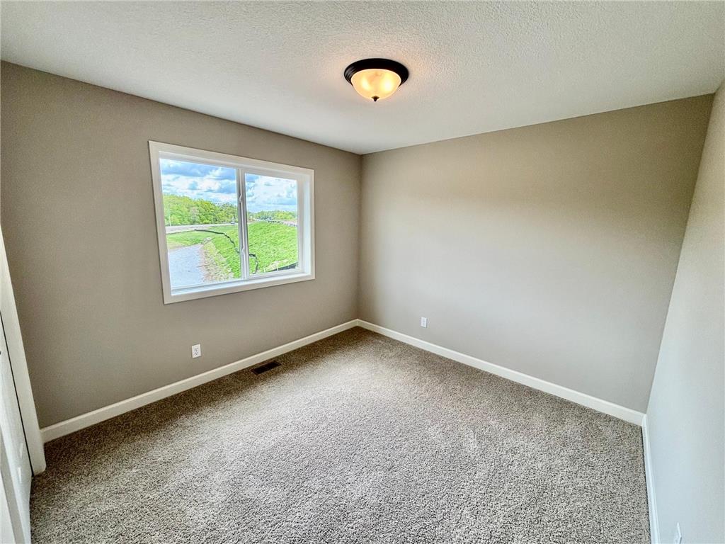 807 Walnut Grove Lane Hanover MN 55341 7061951 image13