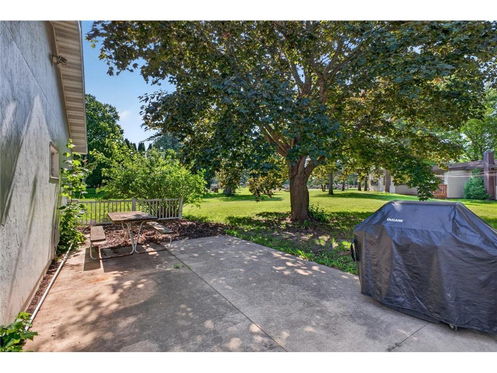 807 Washington Avenue Wabasha MN 55981 7083593 image8