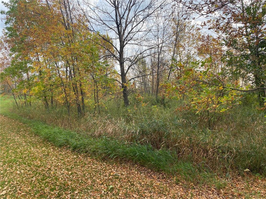 8071 70th Street W Lonsdale MN 55046 6815165 image16