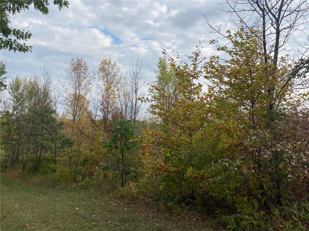 8071 70th Street W Lonsdale MN 55046 6815165 image20