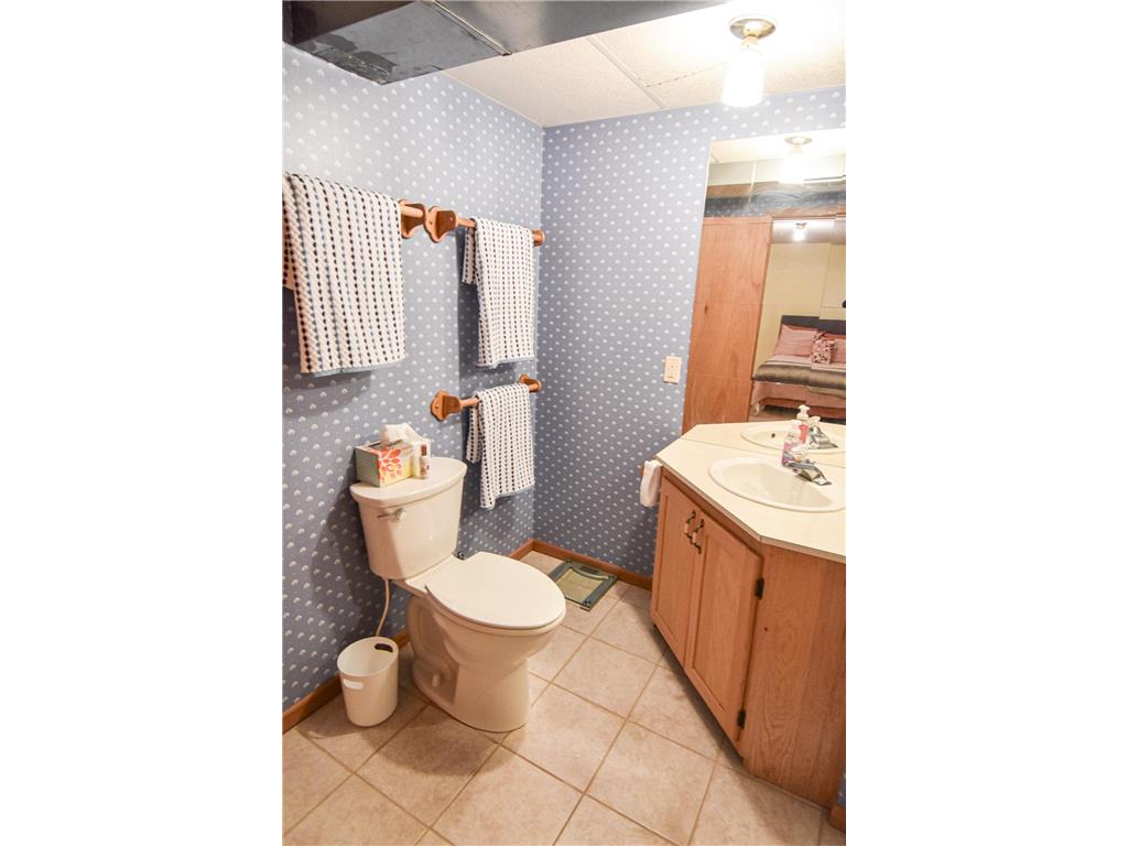 808 Alice Drive Thief River Falls MN 56701 7103147 image49