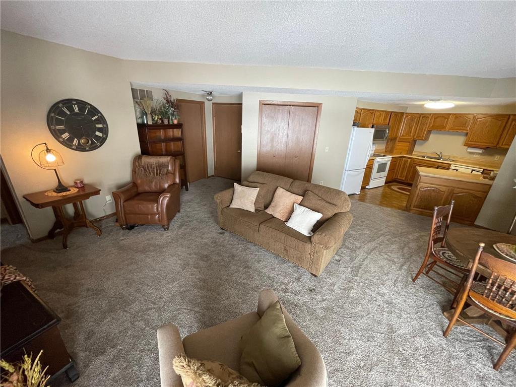 808 Lake Chapeau Drive #102 Albert Lea MN 56007 6314779 image1