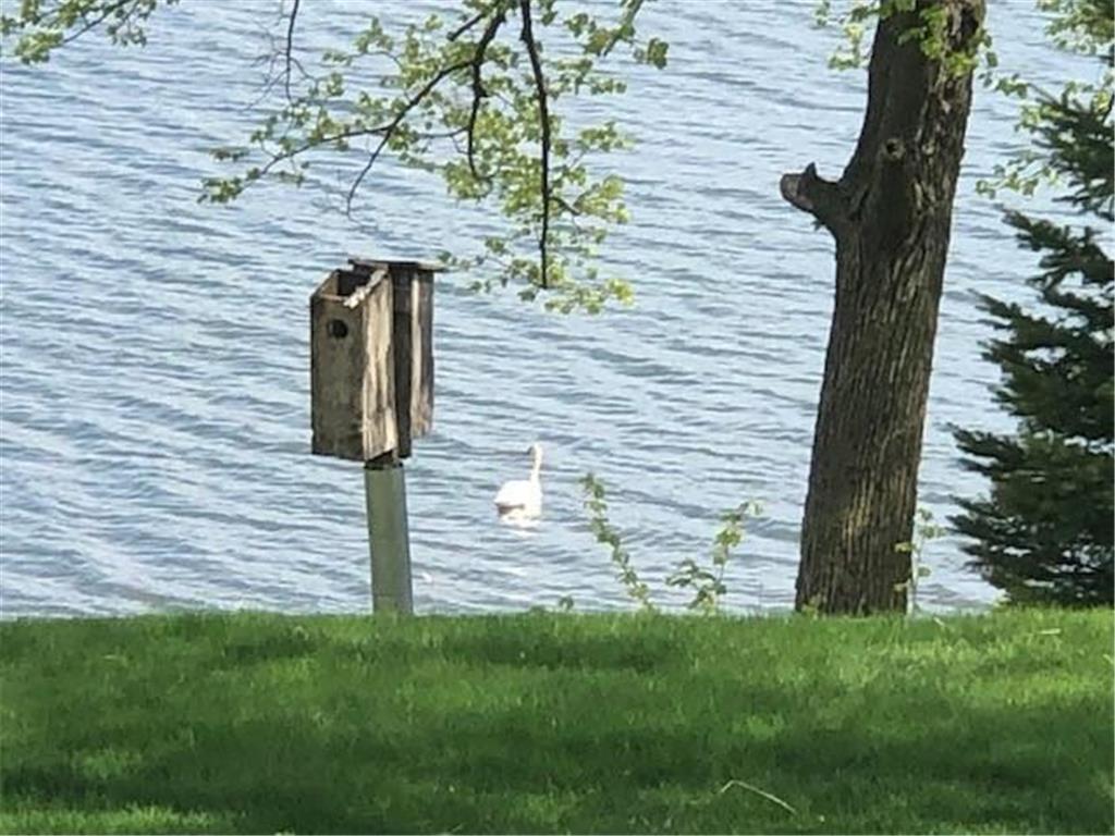 808 Lake Chapeau Drive 105, Albert Lea, MN, 56007 MLS 6499778