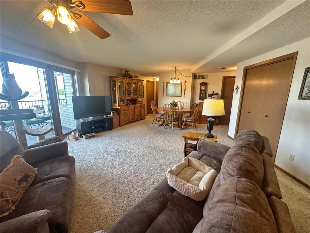 808 Lake Chapeau Drive #202 Albert Lea MN 56007 - White 7098992 image10
