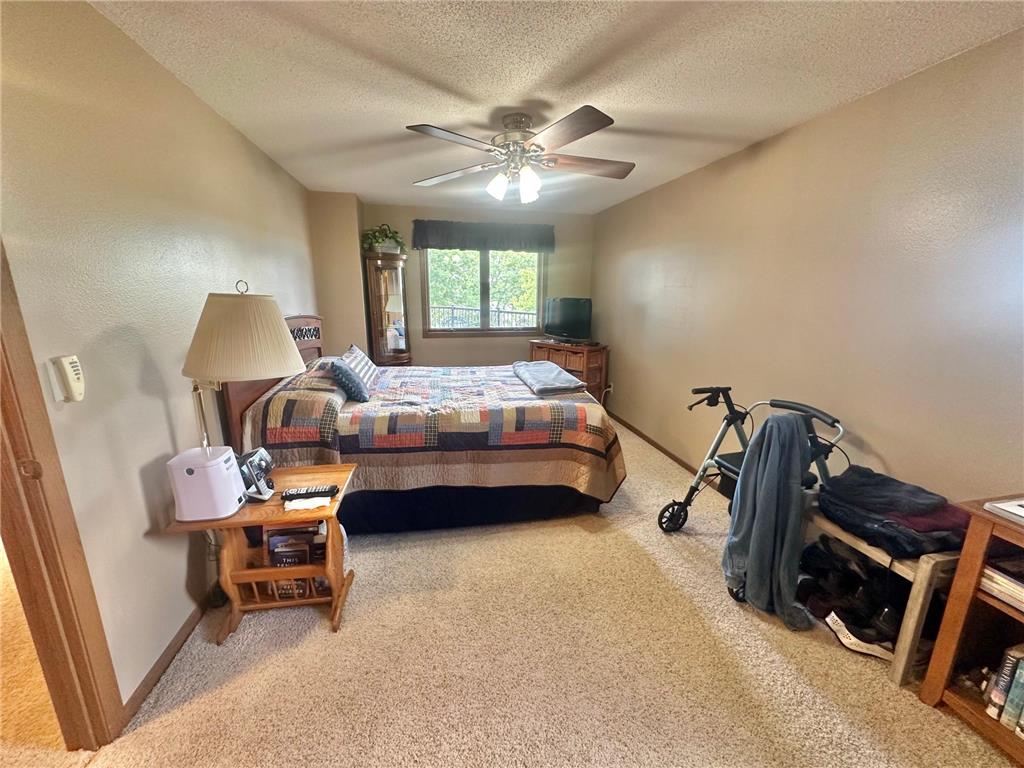 808 Lake Chapeau Drive #202 Albert Lea MN 56007 - White 7098992 image17