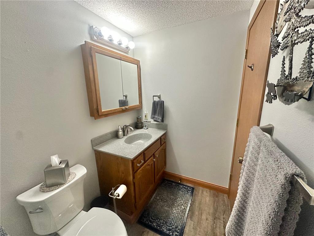 808 Lake Chapeau Drive #202 Albert Lea MN 56007 - White 7098992 image20