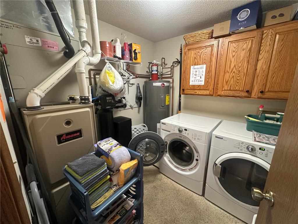 808 Lake Chapeau Drive #202 Albert Lea MN 56007 - White 7098992 image23