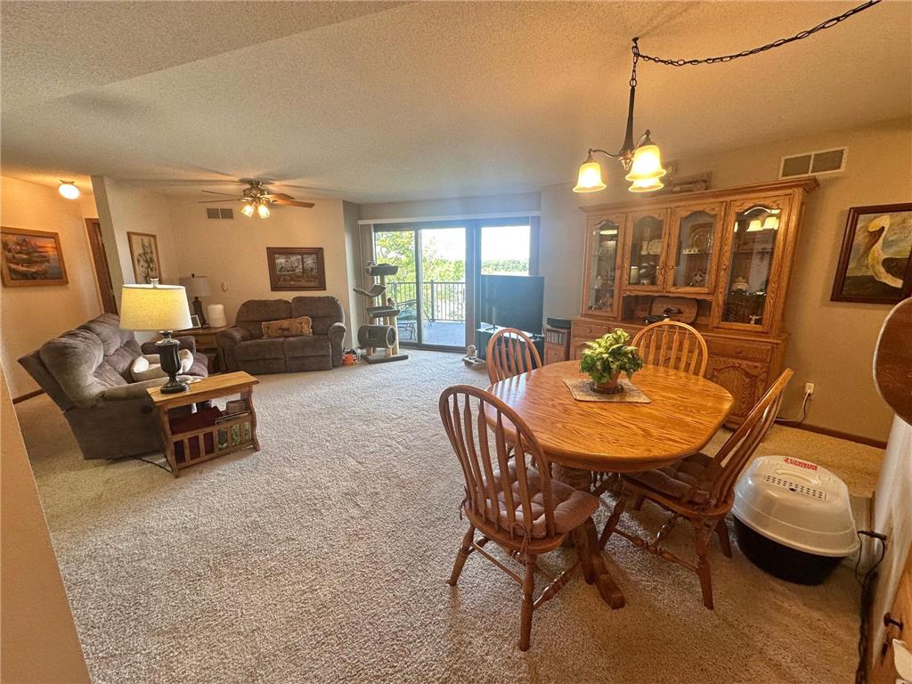 808 Lake Chapeau Drive #202 Albert Lea MN 56007 - White 7098992 image7