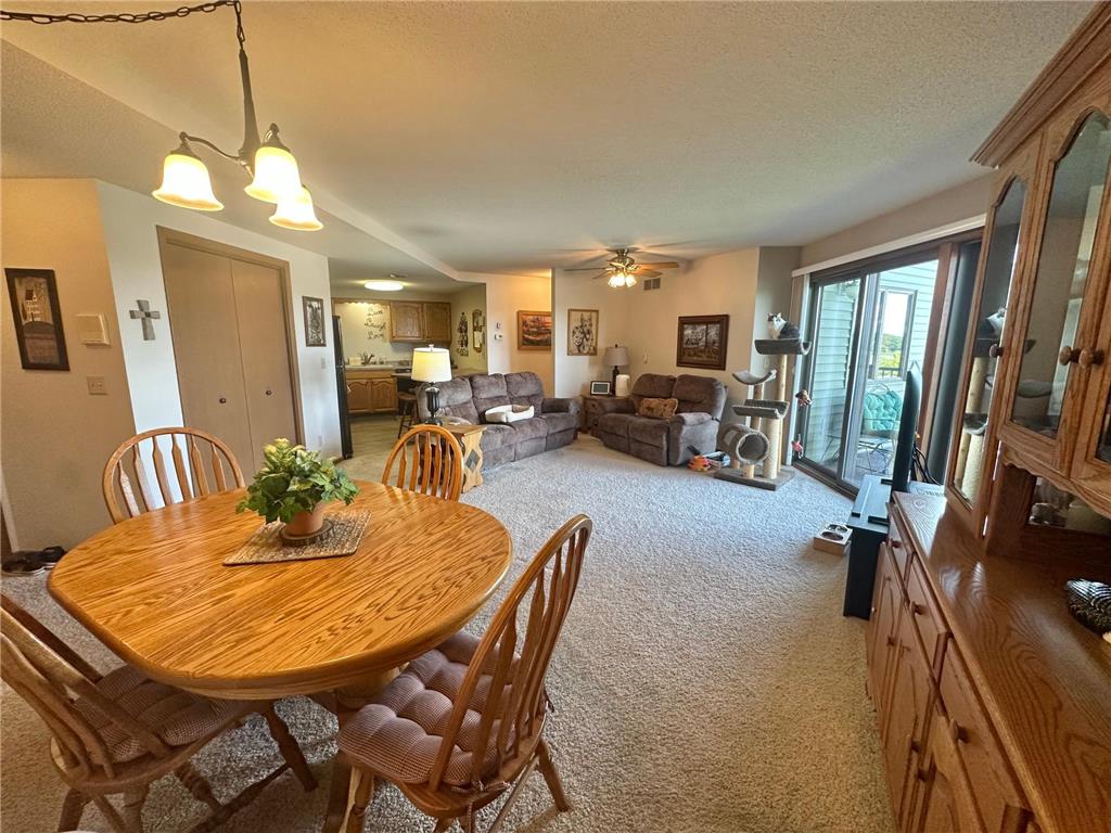 808 Lake Chapeau Drive #202 Albert Lea MN 56007 - White 7098992 image8