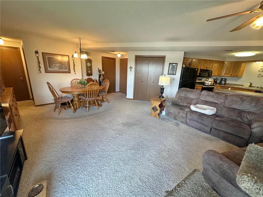 808 Lake Chapeau Drive #202 Albert Lea MN 56007 - White 7098992 image9