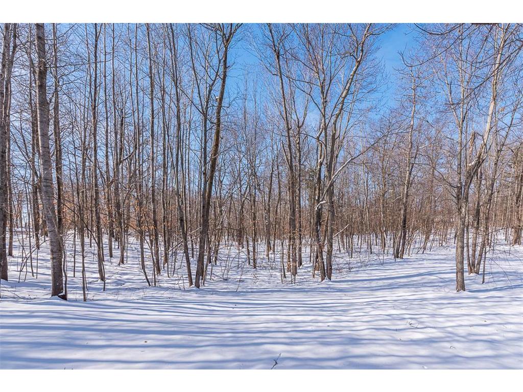 8080 County Road 127 Lake Edward Twp MN 56401 7038617 image39