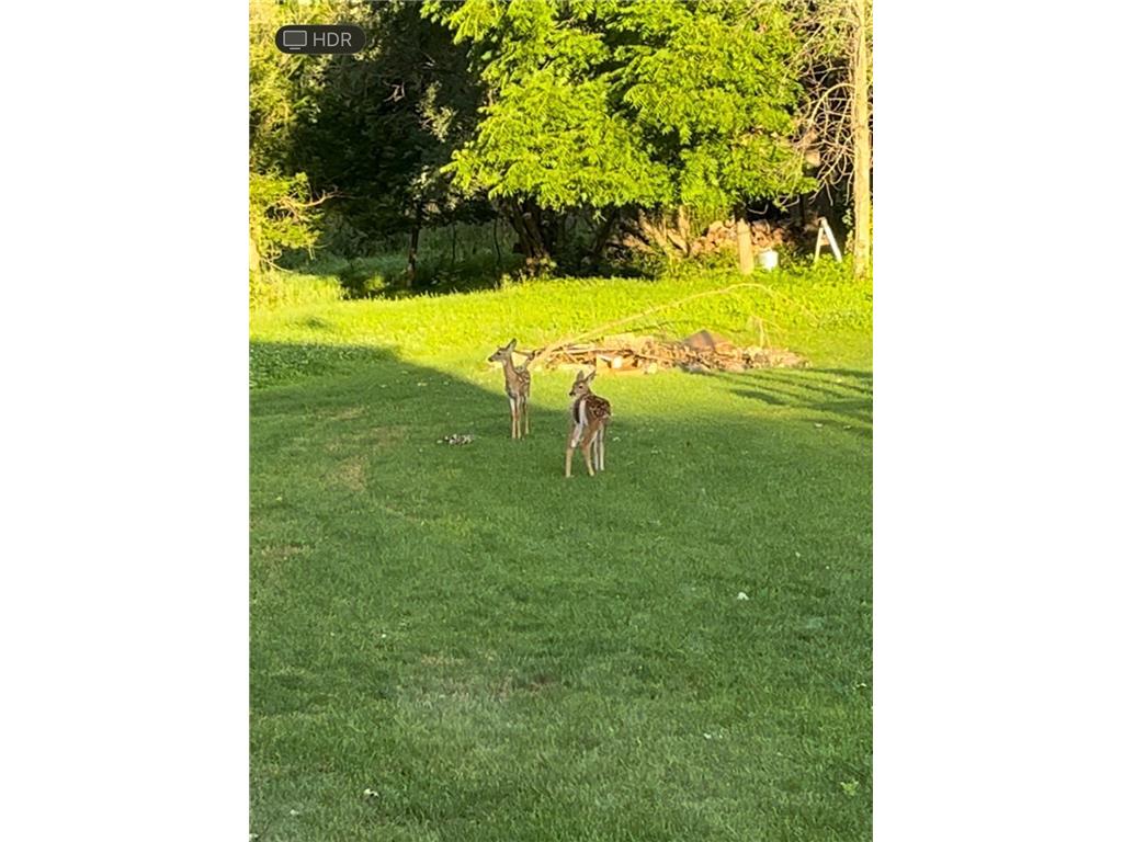 809 60th Avenue SW Rochester MN 55902 - Cascade Creek 7010894 image23