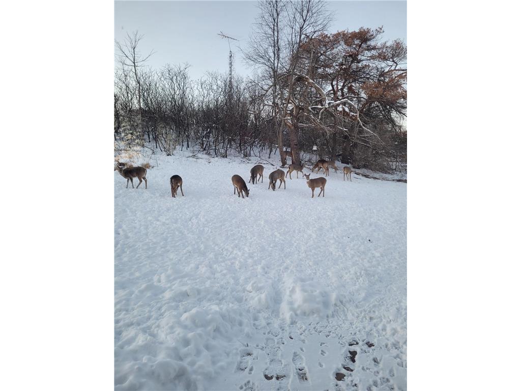 809 60th Avenue SW Rochester MN 55902 - Cascade Creek 7010894 image3