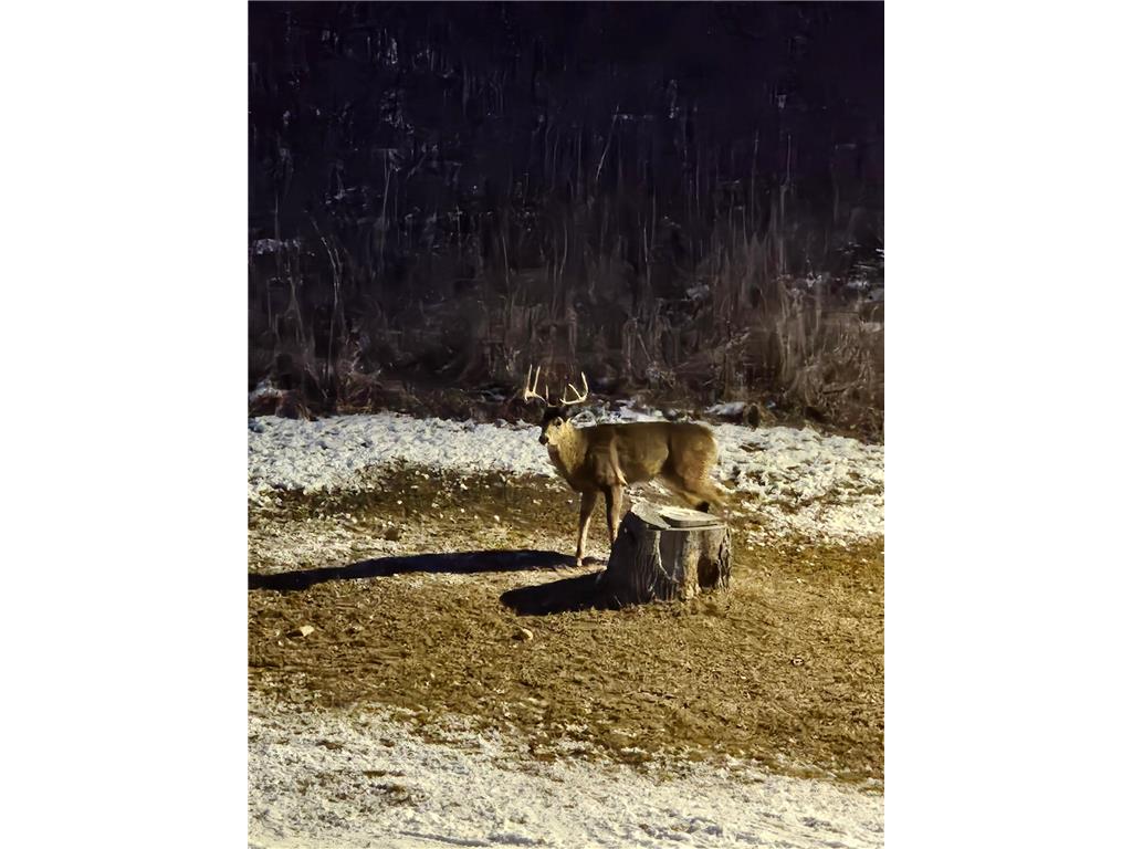 809 60th Avenue SW Rochester MN 55902 - Cascade Creek 7010894 image40