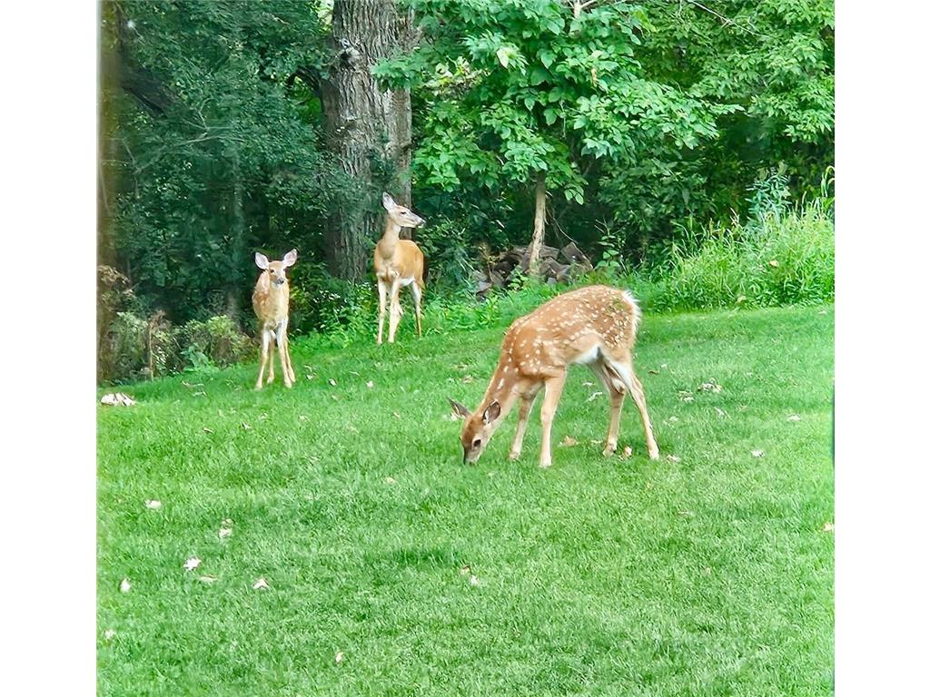 809 60th Avenue SW Rochester MN 55902 - Cascade Creek 7010894 image41