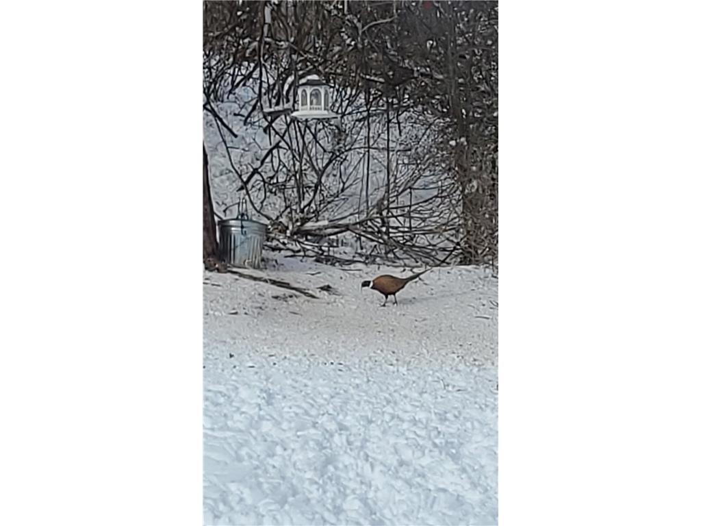 809 60th Avenue SW Rochester MN 55902 - Cascade Creek 7010894 image42