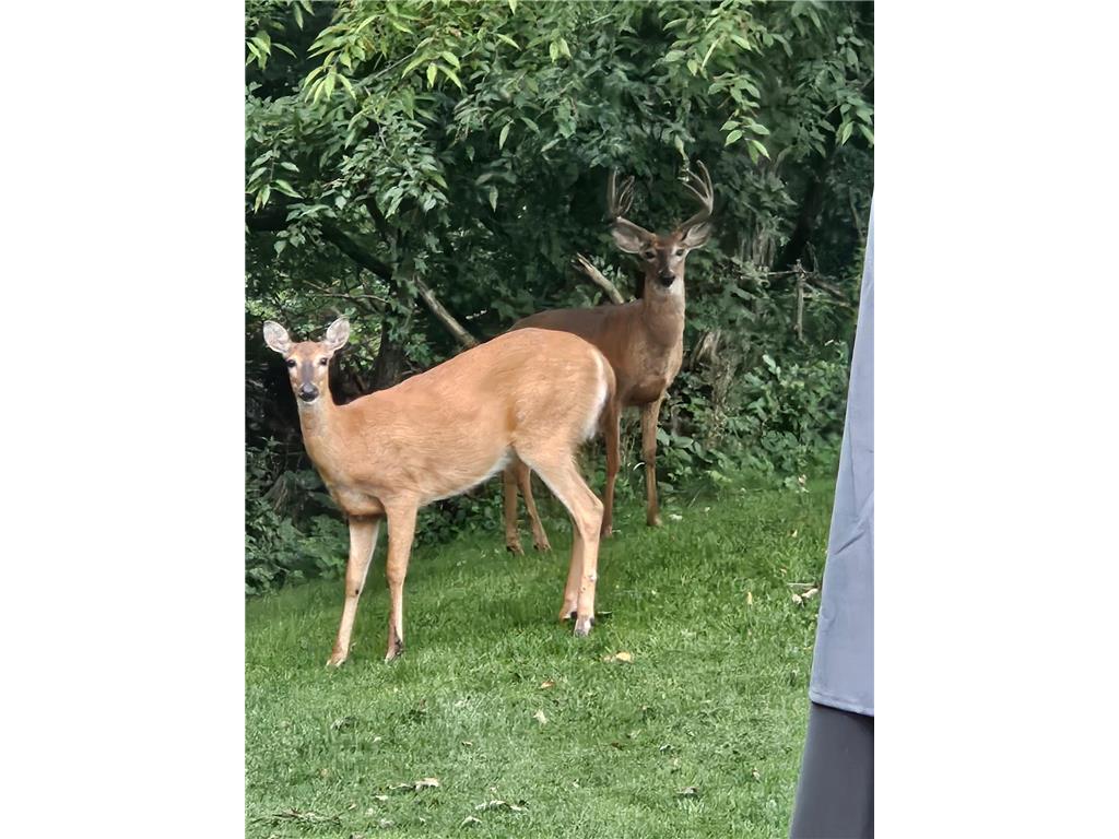 809 60th Avenue SW Rochester MN 55902 - Cascade Creek 7010894 image5