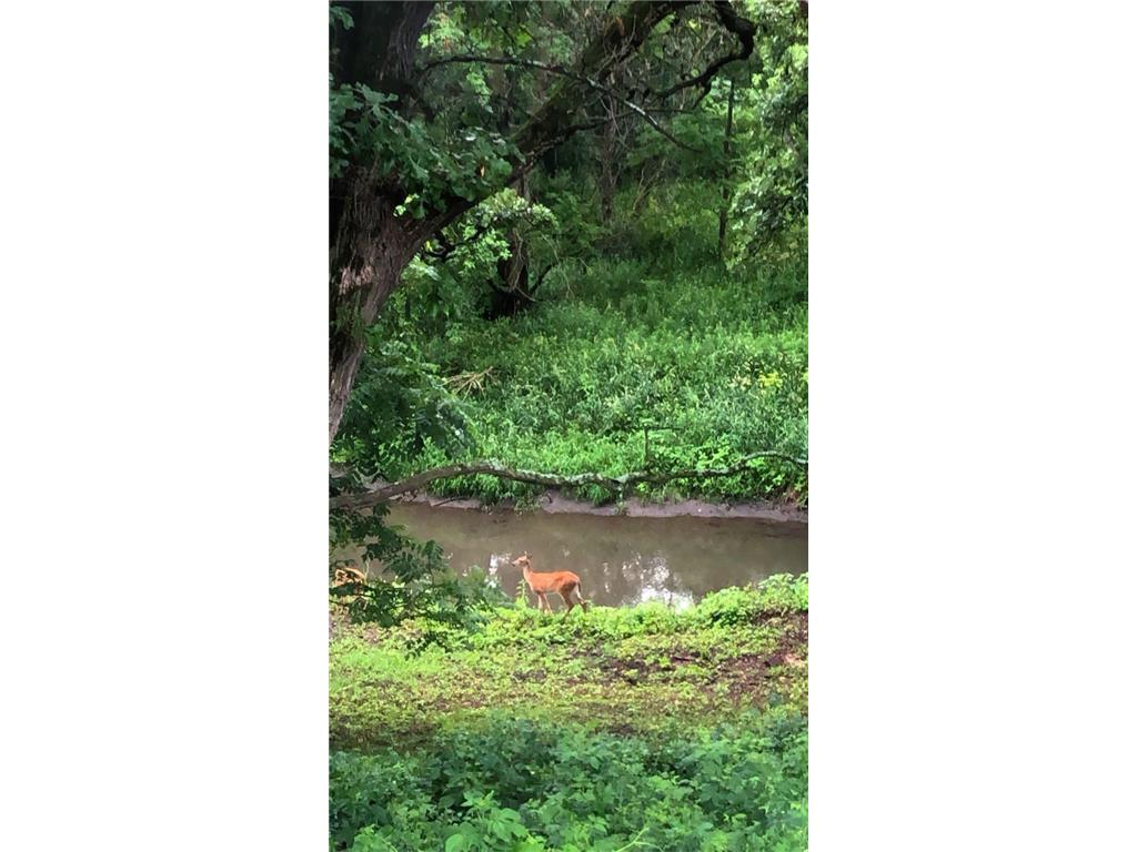 809 60th Avenue SW Rochester MN 55902 - Cascade Creek 7010894 image53