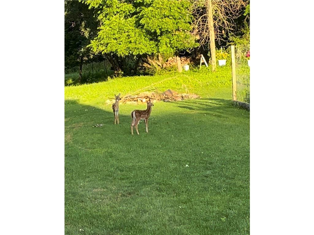 809 60th Avenue SW Rochester MN 55902 - Cascade Creek 7010894 image60