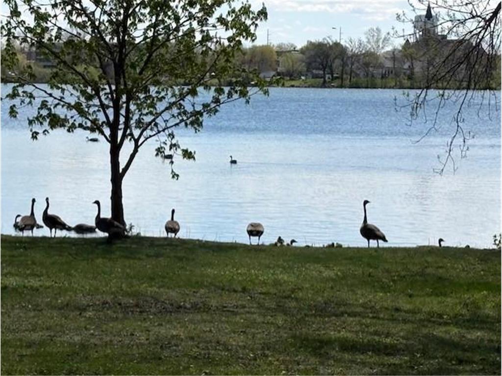 809 7th Avenue NW Waseca MN 56093 - Loon 7068406 image7