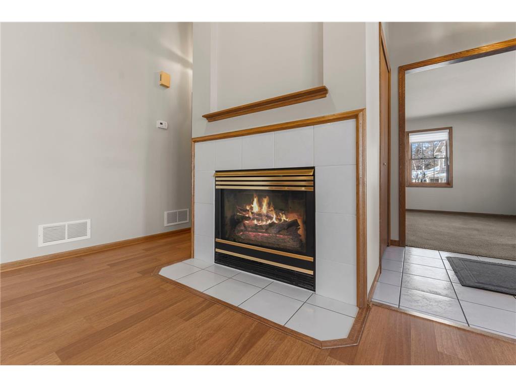 809 Ivy Lane Eagan MN 55123 7077623 image9