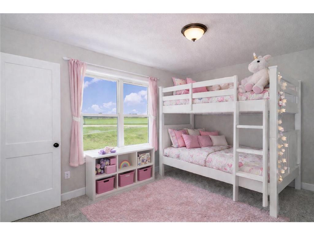 809 Viburnum Street Belle Plaine MN 56011 6800488 image23