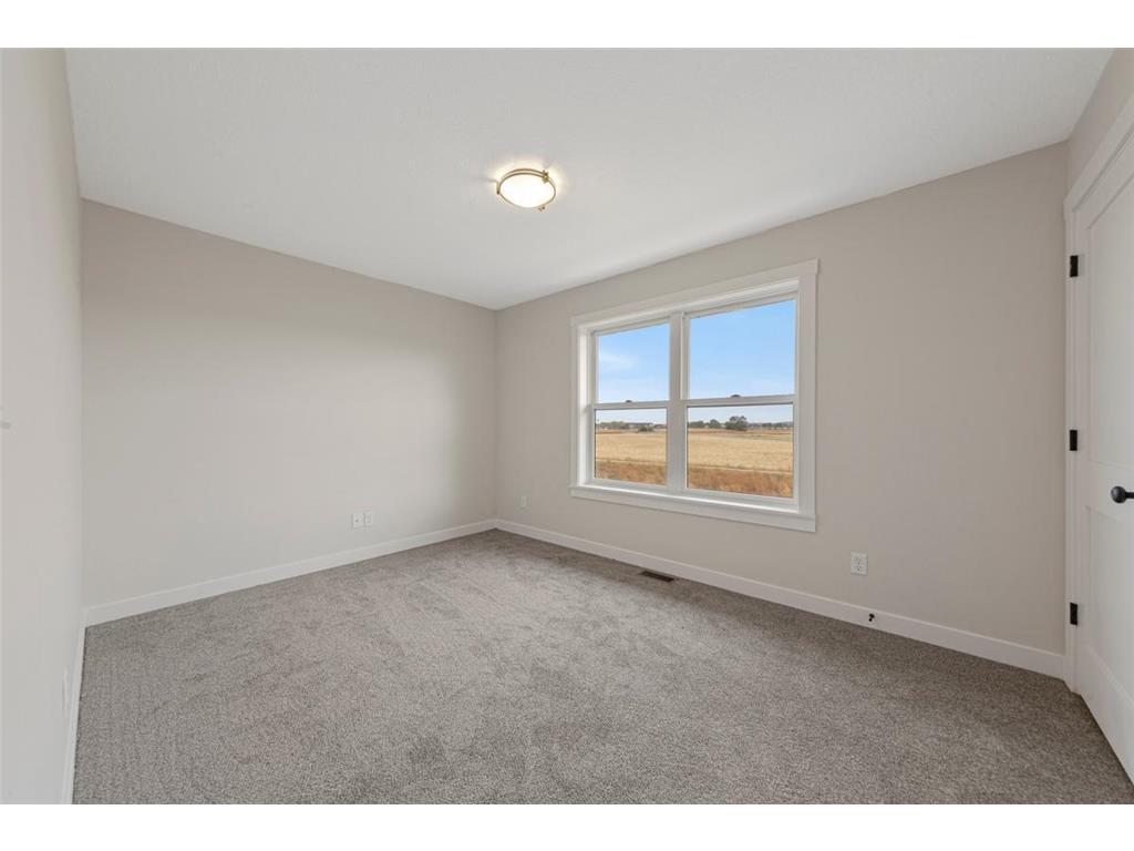 809 Viburnum Street Belle Plaine MN 56011 6800488 image25