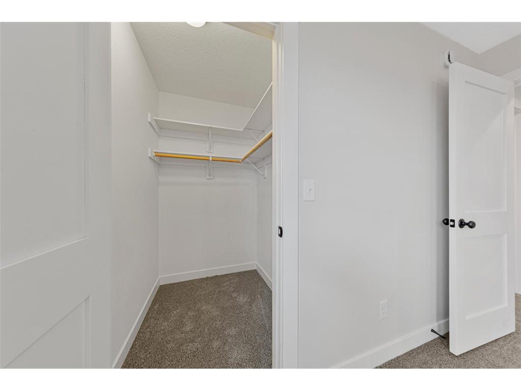 809 Viburnum Street Belle Plaine MN 56011 6800488 image26