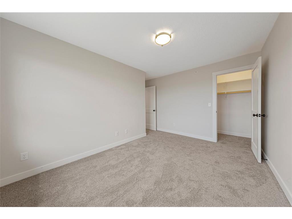 809 Viburnum Street Belle Plaine MN 56011 6800488 image29